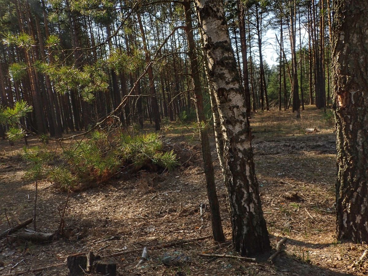 Yankovytch's Hunting Grounds