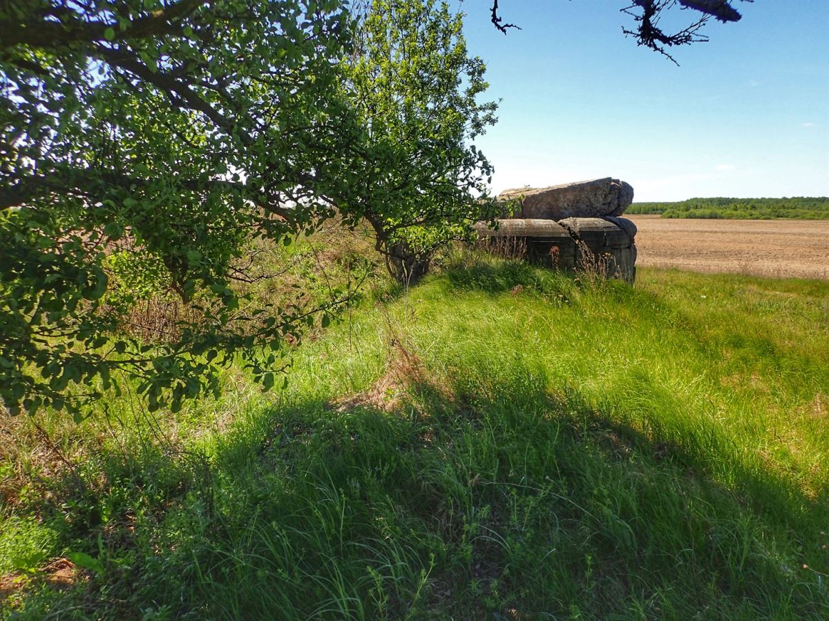 Bunker Half Destroyed