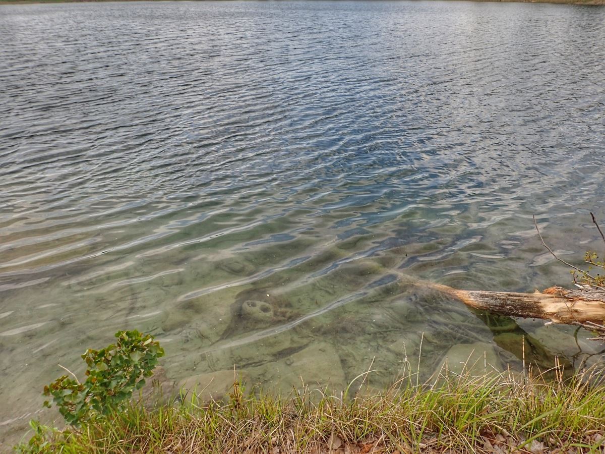 Malyn Underwater Museum