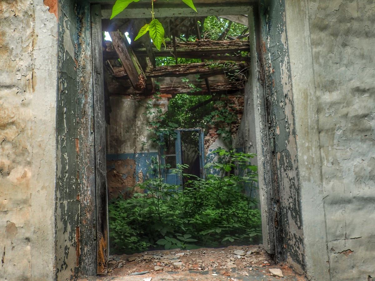 Manor De Shoduara (Ivanitsa)