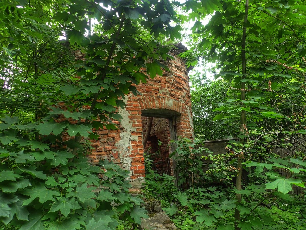 Manor De Shoduara (Ivanitsa)