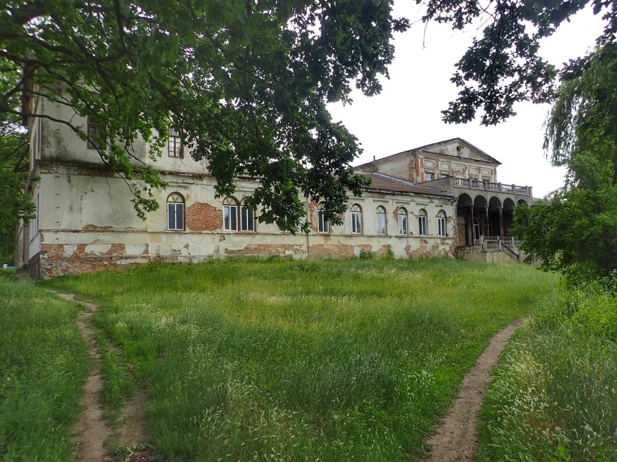 Potocki Palace (Dashiv)