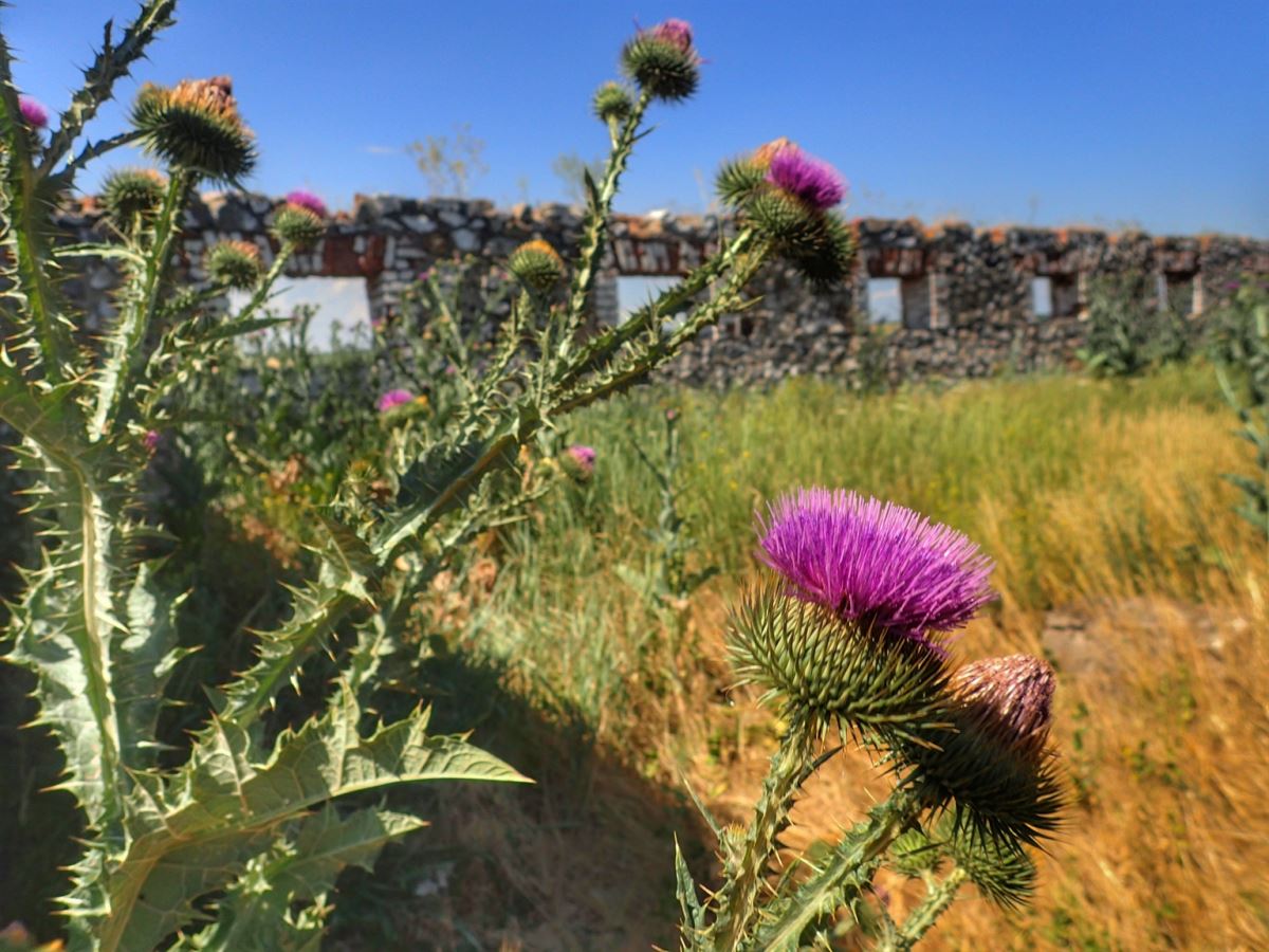 Fortress Zakharievskaya