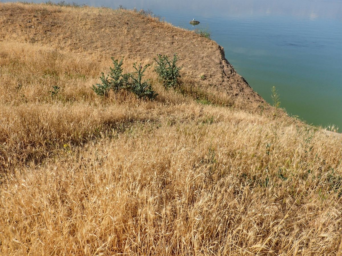 Veliky Lug National Park