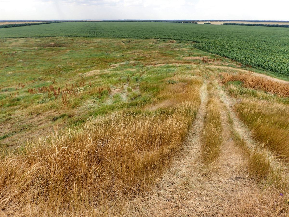 The Largest Kurgan (Burial Mound) in Ukraine