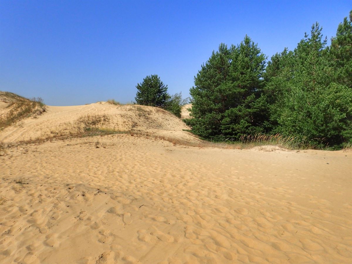 Oleshky Sands