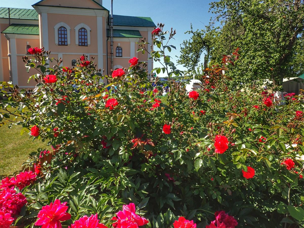 Motronynske Holy Trinity Monastery