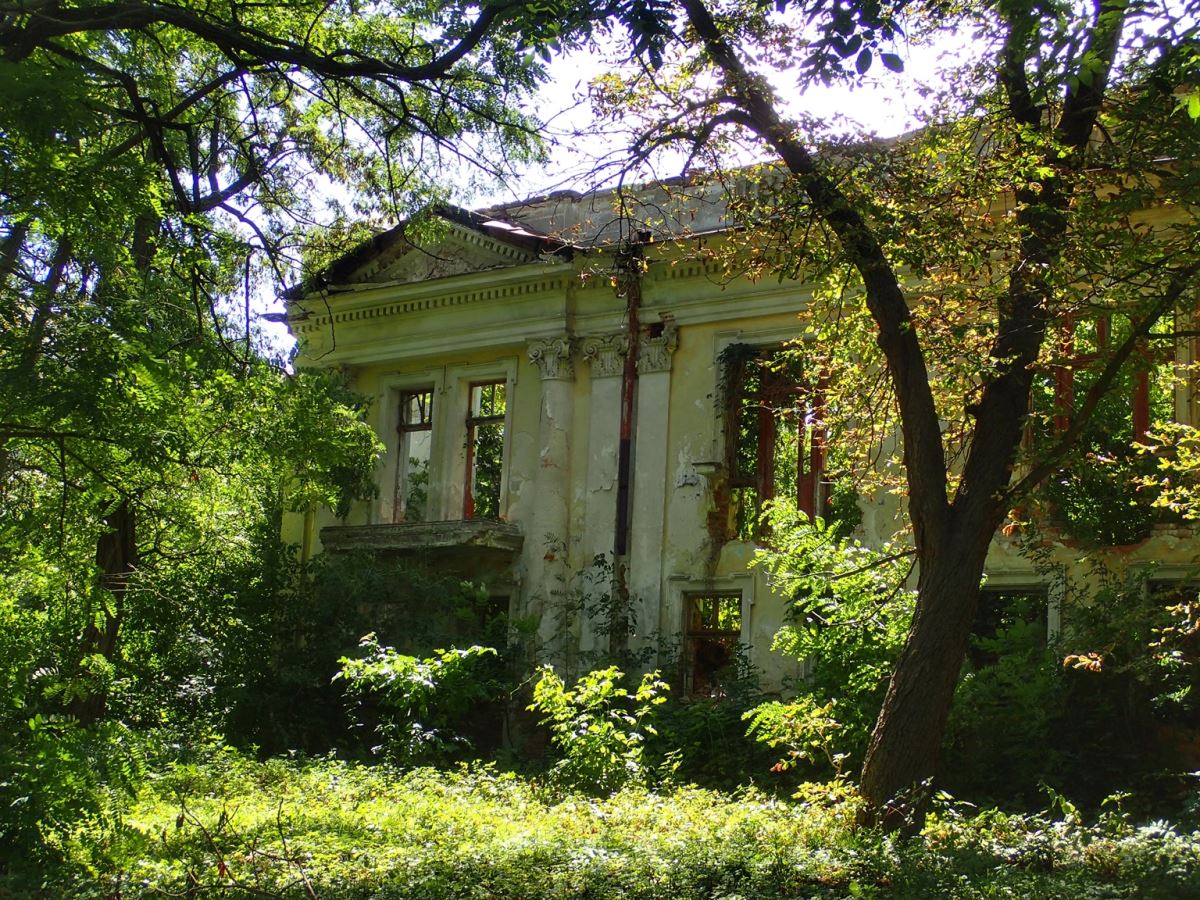 Sobansky Palace, Obodovka