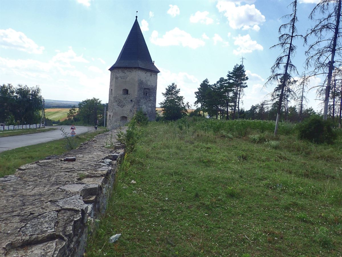 Castle Kryvche