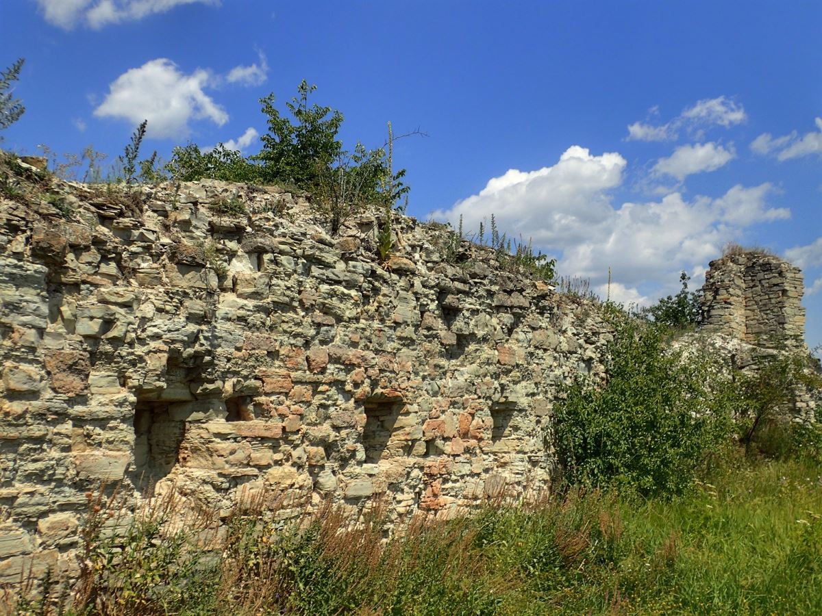 Kurdryntsi Castle