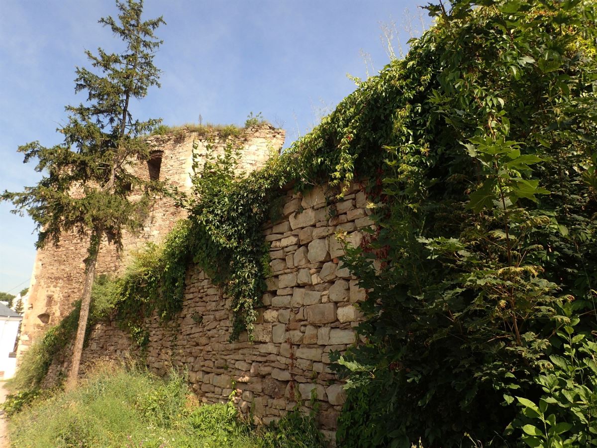 Yazovitski Castle and Monastary