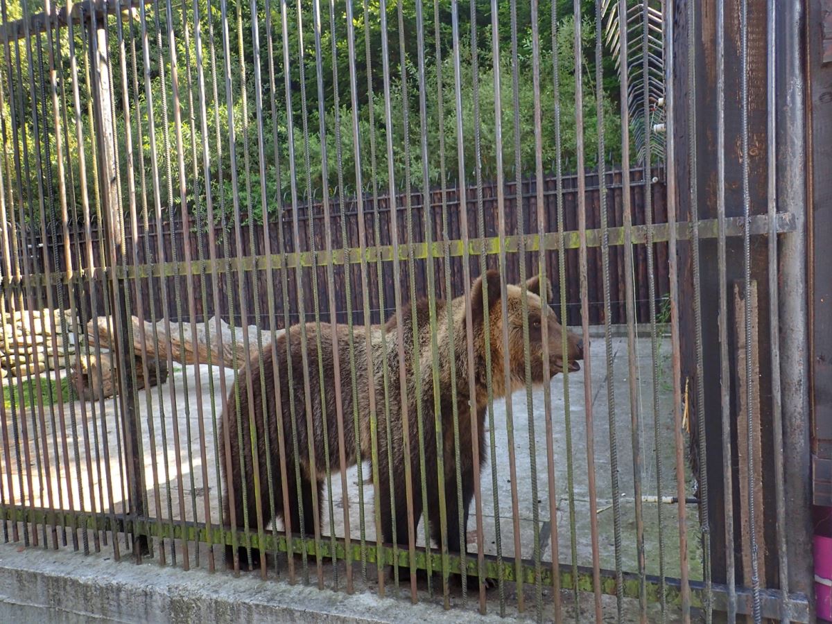 Presidents Vacation Home