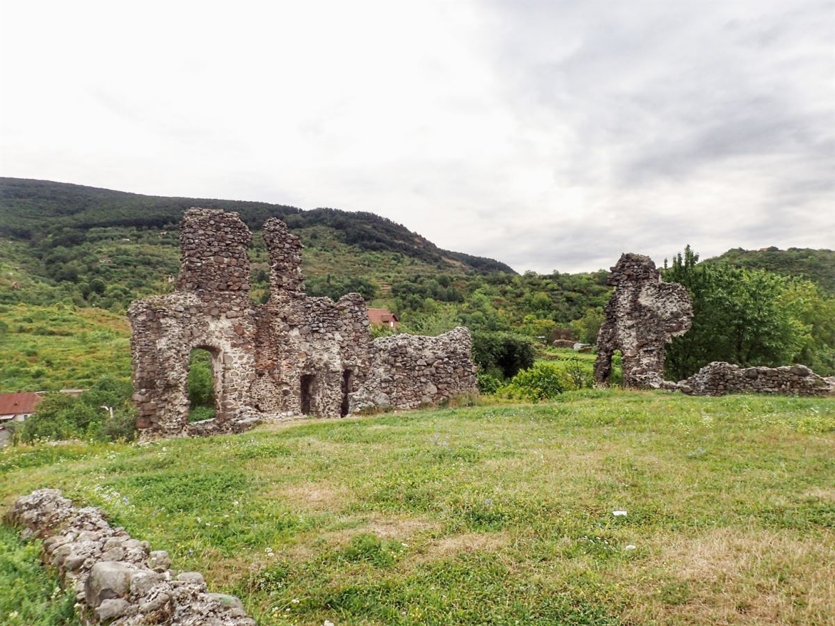 Vinogradivskiy Castle