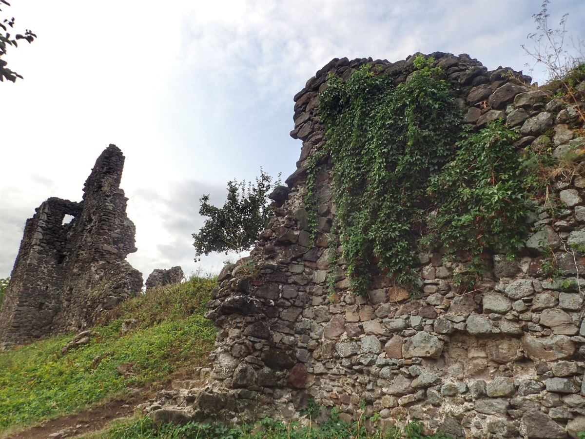 Vinogradivskiy Castle