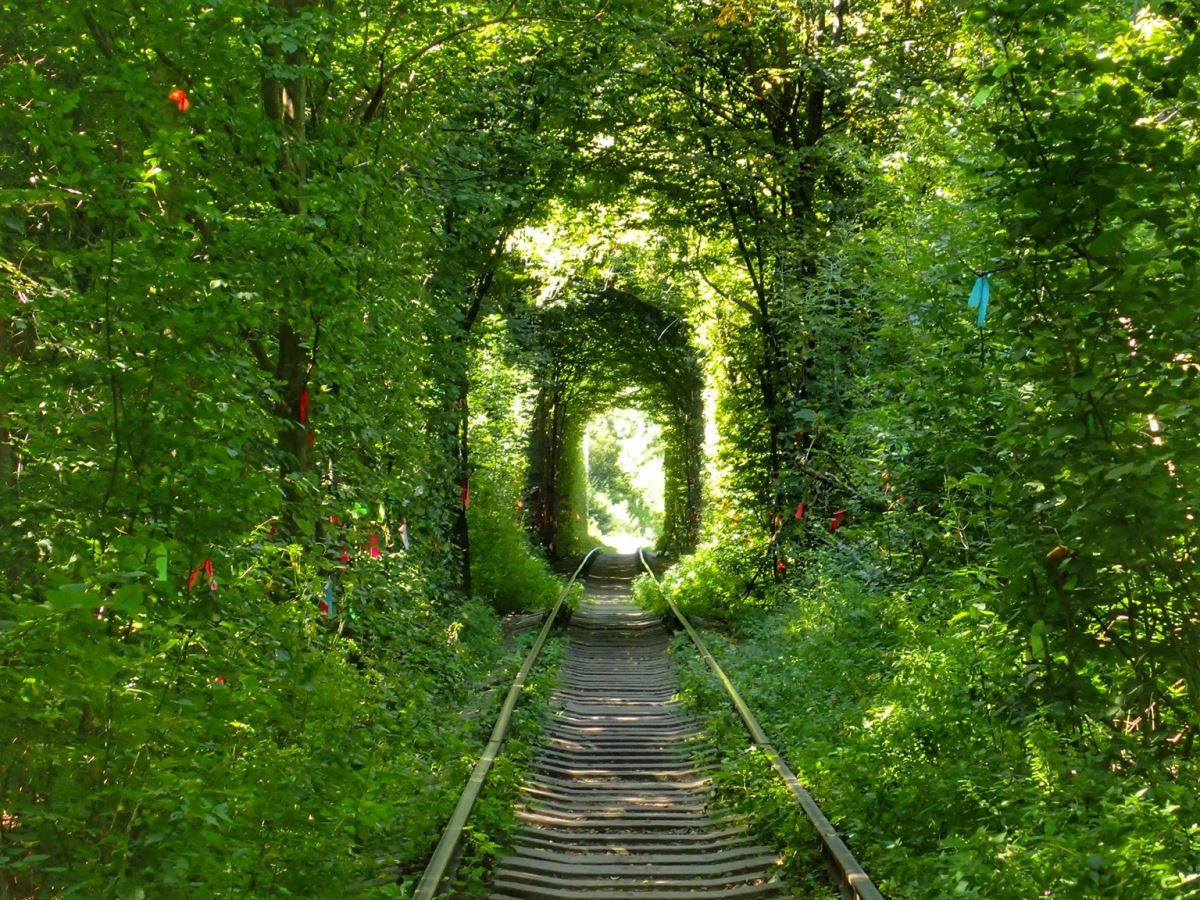 Tunnel of Love