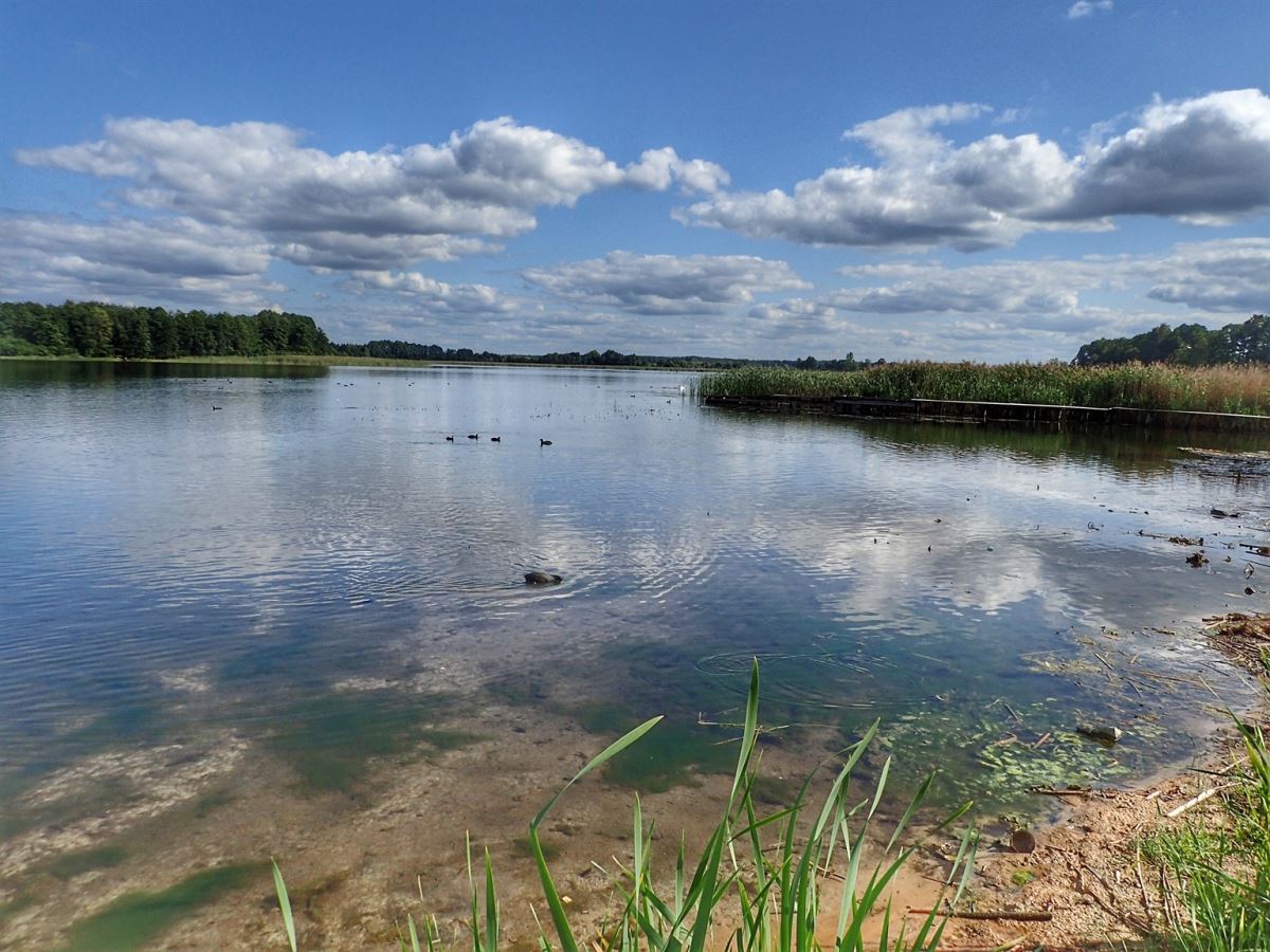 Shatsky National Park
