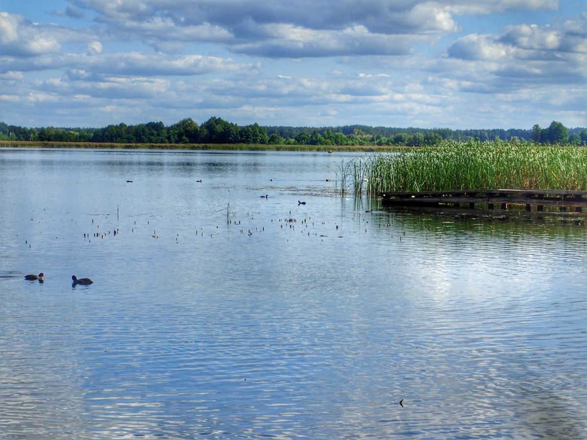 Shatsky National Park
