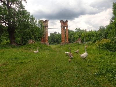 Manor De Shoduara (Ivanitsa)