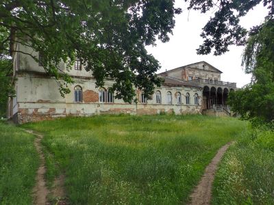 Potocki Palace (Dashiv)