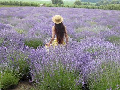 We are going to Moldova