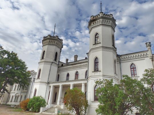 Slide Image
